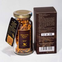 Đông Trùng Hạ Thảo Militaris – Hộp 10g – The Hai Yen