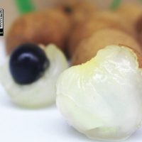 Nhãn bắp cải Vũng Tàu – Vườn Chú Sáu